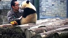 Panda. Kisses. Selfies. Enough said.