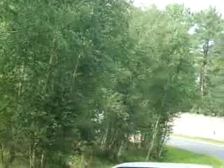 Delorean Europe classic, Raph et Ed