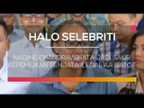 Nadine Chandrawinata Jadi Saksi Kepemilikan Senjata Ilegal Aa Gatot - Halo Selebriti