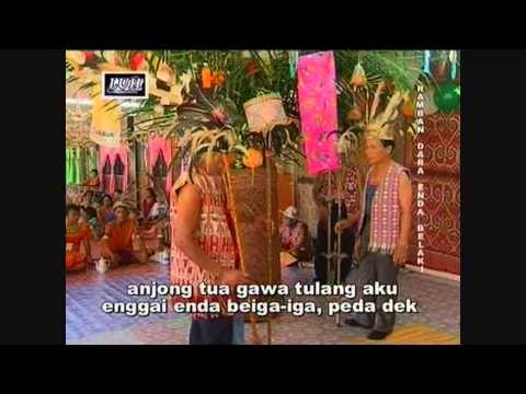 Ramban Dara Enda Belaki - Merikan Anak Sandom, Luyoh Anak Kambot, Nglai Anak Muar, Galu Anak Jurai