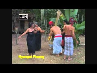 Nyangat Pisang - Mantung Mubuk Group