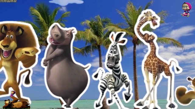 Семья Пальчиков на русском Мадагаскар.Песенка про пальчики на русском Finger Family Song.