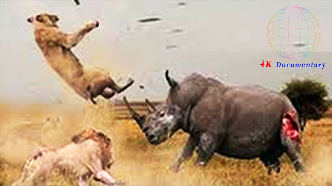 Full Documentary - การต่อสู้ที่น่าตะลึง ของสัตว์โลก l Animal Fight - Documentary 2016