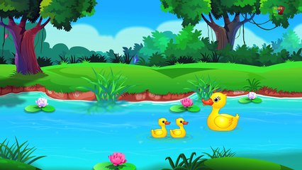 Le ruote del bus | Compilation per i bambini | rima popolare vivaio