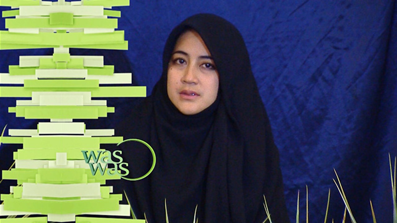 Highlight - WasWas 20 Desember 2016