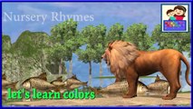 3d colors song||colours song with collection of fishes||colors education for kids,Children&Todllers