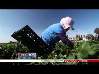 Precandidato Roque de la Fuente se enfoca en creación de empleos