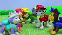 Paw Patrol Duplo Lego Construct a Pup Marshall Statue Falls and Air Rescue Chase and Rocky Save Pups