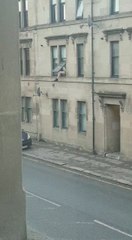 Bare-Bottomed Duo Wrestle Cheekily in the Street