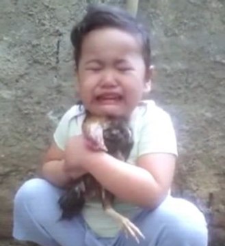 Little girl crying over dead chicken (NTD Television, 15 December 2016)