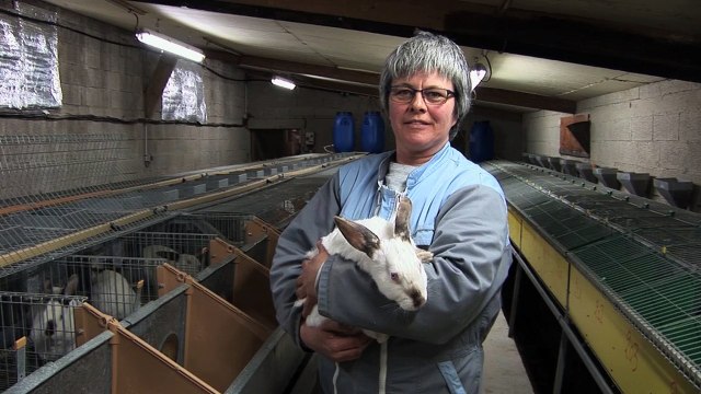 Produisons autrement : Réduire l’utilisation des antibiotiques jusqu’à leur suppression