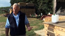Pascal Cosnet, agriculteur-éleveur de volailles