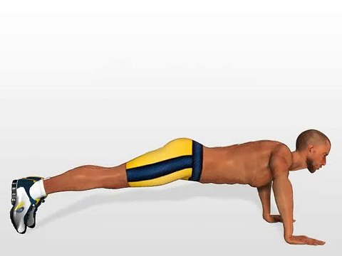 exercise Push Up for gain chest pectoral muscle workout