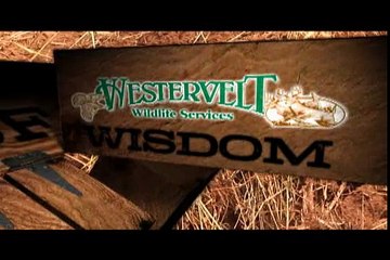 Westervelt Wildlife Wisdom Preparing Food Plots - Part 2