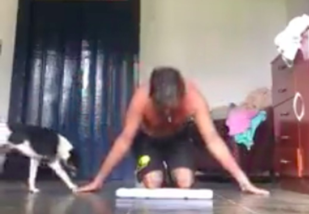 Pas toujours évident de faire son cours de yoga avec son chien à ses côtés !