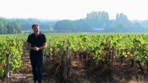 Chemins de traverse : Vignoble La Preuille