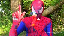 Superhero in Real Life Spiderman Playing With Toys Superherofightsvs In Real Life Irl Hulk Donald