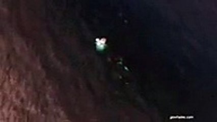 Une orque attrape et dévore un requin