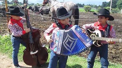Isto é talento meu povo