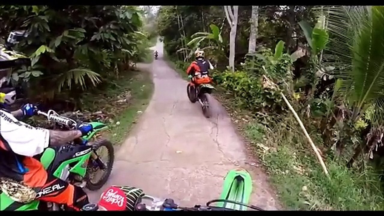 fly high-toly braun