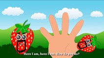 Creador FInger Family Nursery Rhymes | Finger Family For Kids in 3D