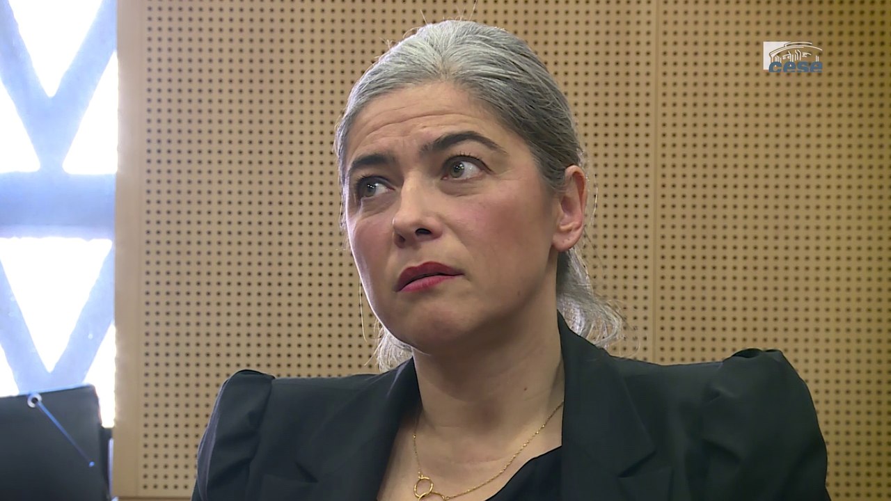 Questions à Nathalie BERGERE, Dirigeante de TPE - TPE PME - cese