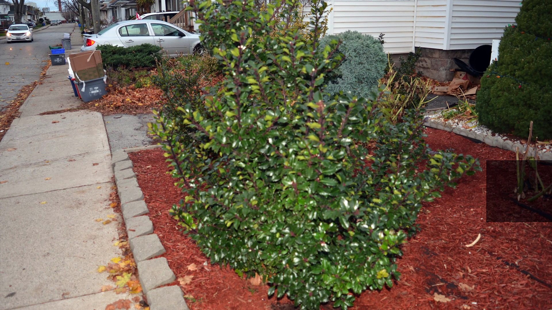 St. Catharines Documentary