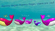 Whale Finger Family Song - Calf Daddy Finger Nursery Rhymes Full animated cartoon - kids songs