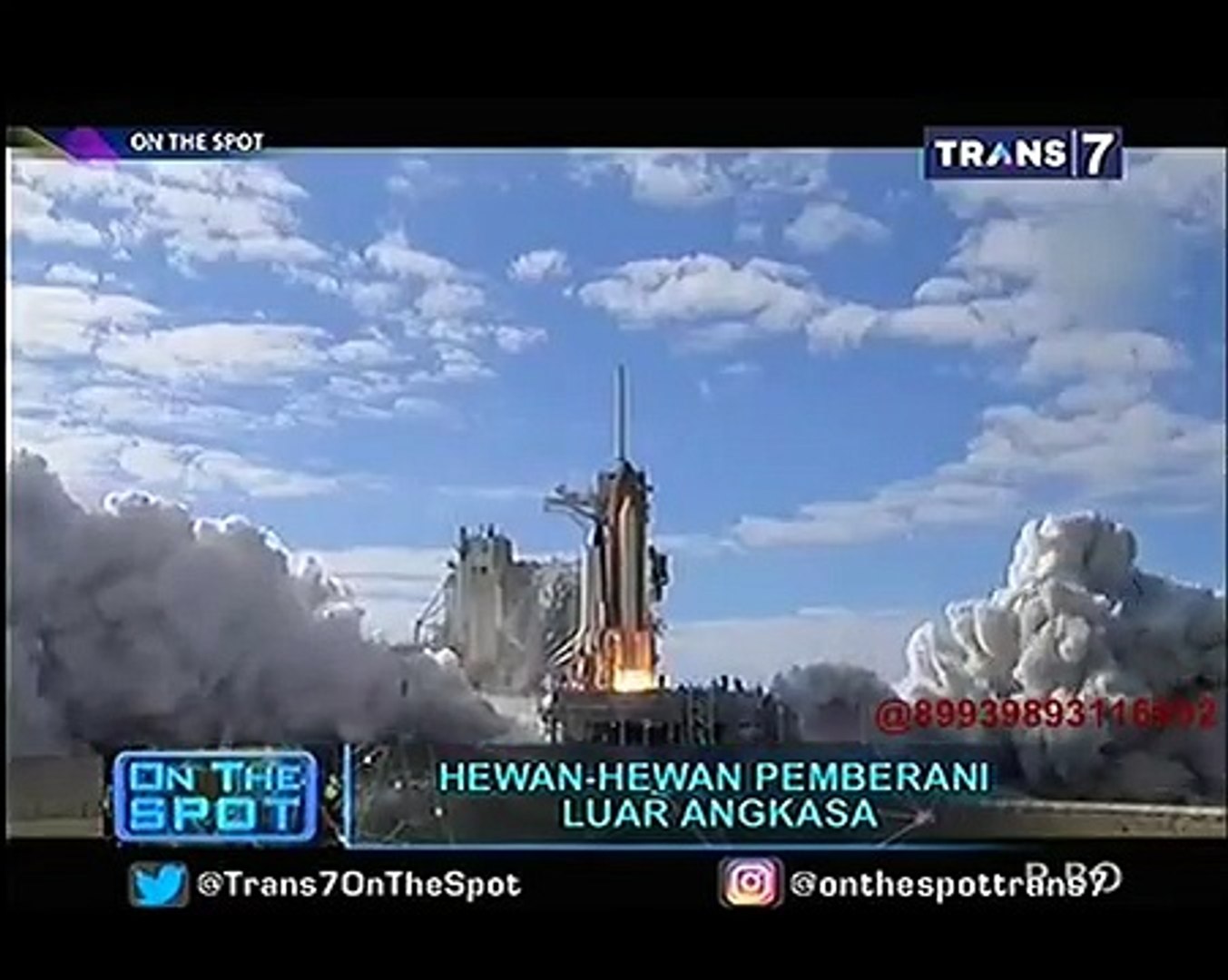 Hewan Hewan Pemberani Luar Angkasa On The Spot Video Dailymotion