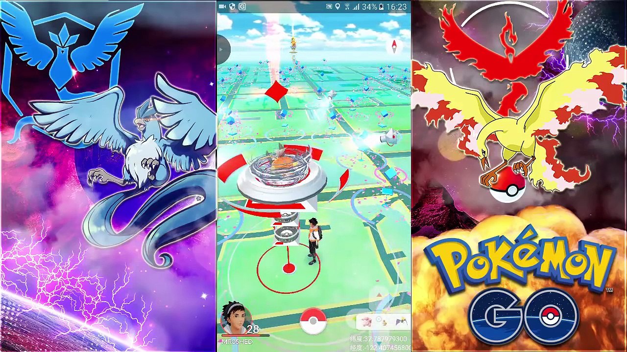 THIS IS INSANE! FIRST LEGENDARY BIRD EGG HATCHING in Pokemon GO _ Hatching Moltres in a 25KM EGG!