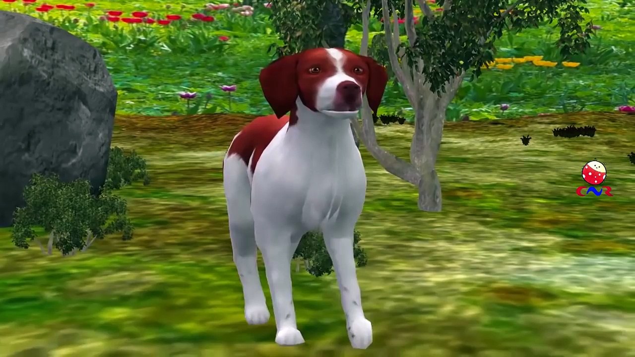 Dog Cartoons Singing Finger Family Children Nursery Rhymes | Dog Finger Family Rhymes