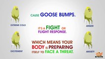 Why do you get goose bumps?