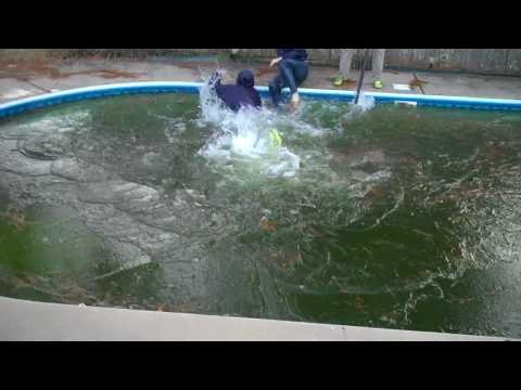 Attempted Run Across Frozen Backyard Pool Ends Hilariously