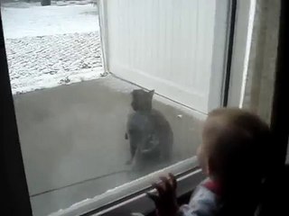 Baby cracks up at cat chasing snowflakes