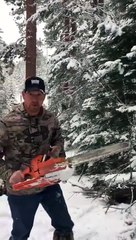 Download Video: Ce gros bourrin vous montre comment couper un sapin de Noël à la redneck !