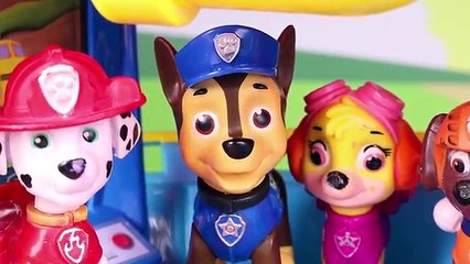 La Patrulla Canina Juguetes en Español  Chase tiene varicela