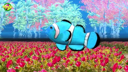 Fish Finger Family || Top 5 Finger Family Songs || 3D Animated Rhymes