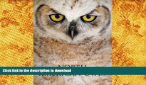 Read Book The Complete Book of North American Owls