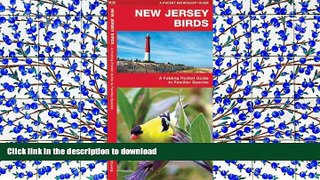 Pre Order New Jersey Birds: A Folding Pocket Guide to Familiar Species (Pocket Naturalist Guide