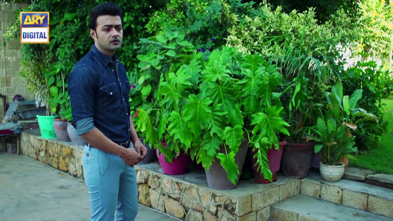 Watch Mein Mehru Hoon Episode 104 - on Ary Digital in High Quality 20th December 2016
