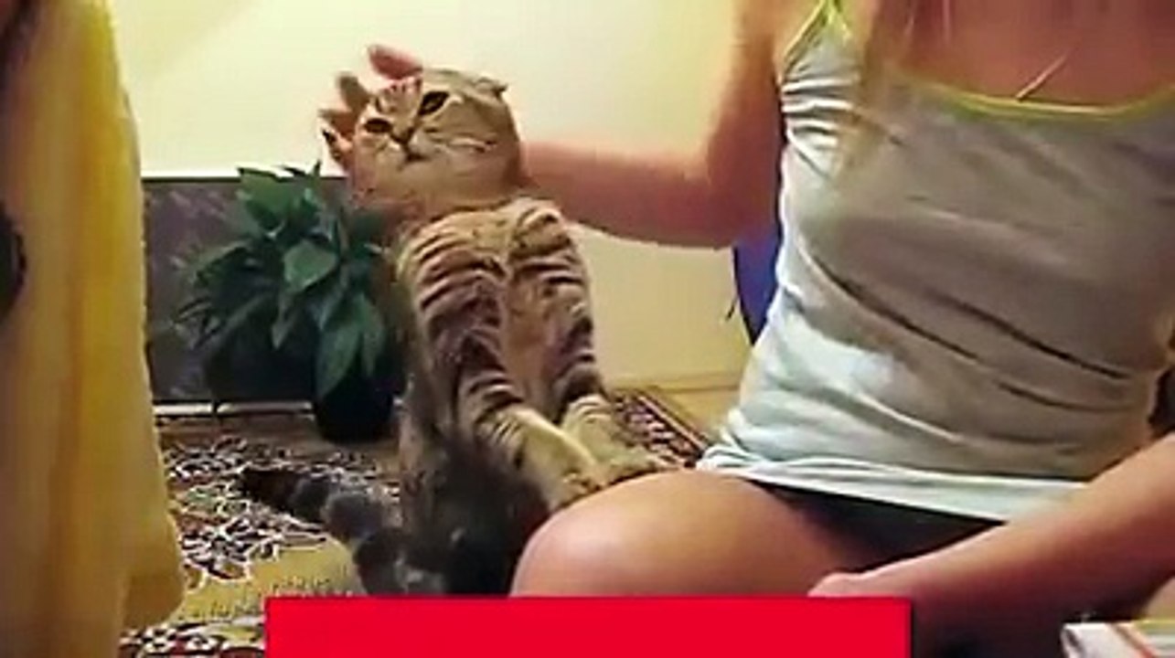 We all need love and care