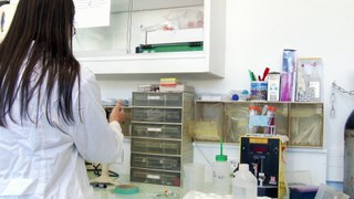 Voeux 2017 de faculté de médecine de Nice - Laboratoire de recherche - Sciences - Mannequin Challenge