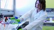 Voeux 2017 de la faculté de médecine de Nice - Laboratoire de recherche EVO1  - Mannequin Challenge