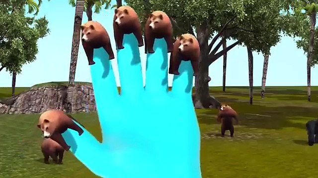 3D Animated Bear Animal Finger Family Rhymes For Children | Bear Animl Finger Family