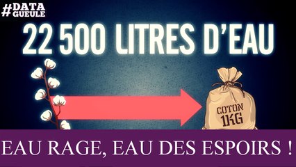 Eau rage, eau des espoirs ! #DATAGUEULE 67