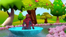 Spiderman Cartoons Singing Finger Family Children Nursery Rhymes And Row Row Row Your Boat Rhymes