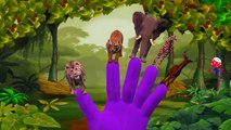Finger Family Nursery Rhymes for Children Animals Cartoons | Finger Family Children Nursery Rhymes