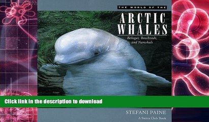 Pre Order The World of the Arctic Whales: Belugas, Bowheads, and Narwhals Full Book