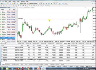 How to Trade Forex Mt4 (AFT)