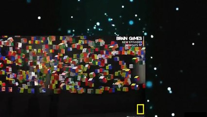 Brain Games S04E03 Language